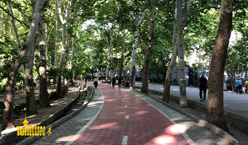 دویدن گروهی- جمعه های تهران