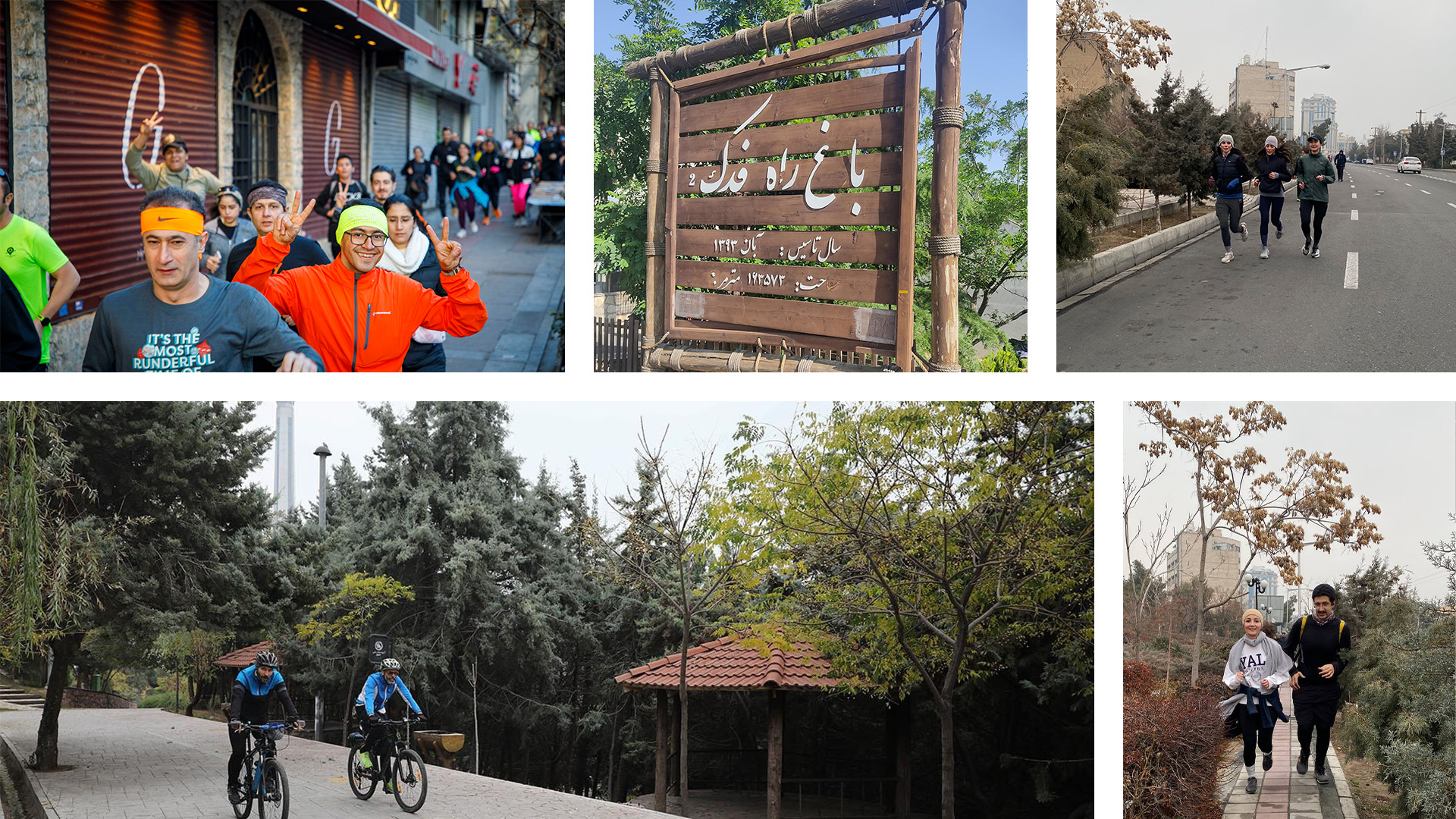 دموی دویدن هوشمندانه
